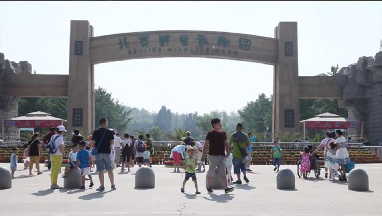 一定发(中国集团)官方网站