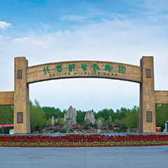 一定发(中国集团)官方网站